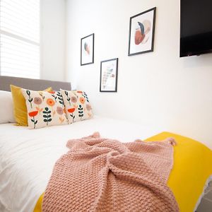 Standaard Studio met een King Size Bed
